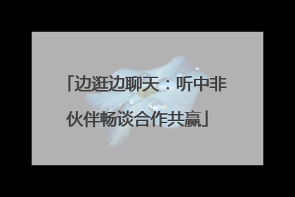 边逛边聊天：听中非伙伴畅谈合作共赢