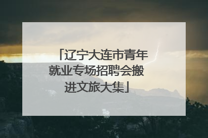 辽宁大连市青年就业专场招聘会搬进文旅大集