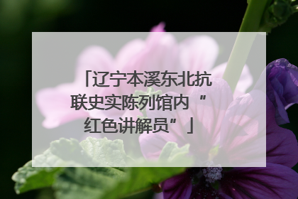 辽宁本溪东北抗联史实陈列馆内“红色讲解员”