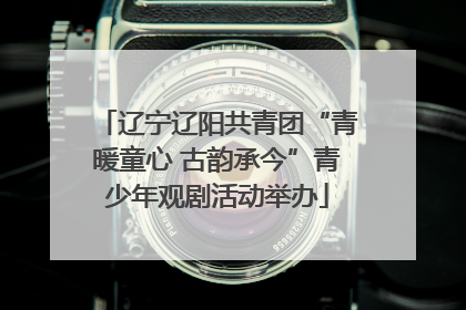 辽宁辽阳共青团“青暖童心 古韵承今”青少年观剧活动举办