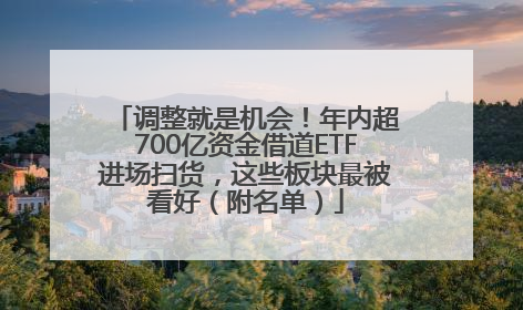 调整就是机会！年内超700亿资金借道ETF进场扫货，这些板块最被看好（附名单）