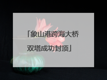 象山港跨海大桥双塔成功封顶