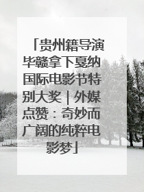 贵州籍导演毕赣拿下戛纳国际电影节特别大奖｜外媒点赞：奇妙而广阔的纯粹电影梦