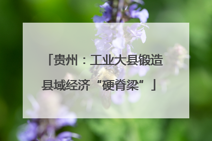贵州：工业大县锻造县域经济“硬脊梁”