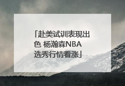 赴美试训表现出色 杨瀚森NBA选秀行情看涨