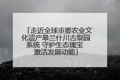 走近全球重要农业文化遗产皋兰什川古梨园系统 守护生态瑰宝 激活发展动能