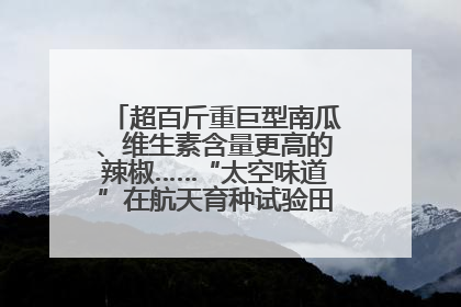 超百斤重巨型南瓜、维生素含量更高的辣椒……“太空味道”在航天育种试验田里拔节生长