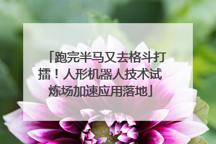 跑完半马又去格斗打擂！人形机器人技术试炼场加速应用落地