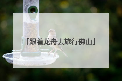 跟着龙舟去旅行佛山