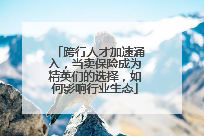 跨行人才加速涌入，当卖保险成为精英们的选择，如何影响行业生态