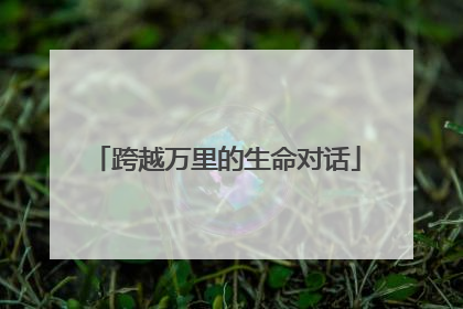 跨越万里的生命对话