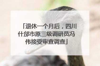 退休一个月后，四川什邡市原三级调研员冯伟接受审查调查