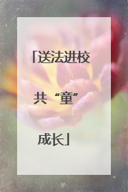 送法进校 共“童”成长