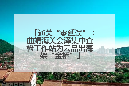 通关“零延误”：曲靖海关会泽集中查检工作站为云品出海架“金桥”