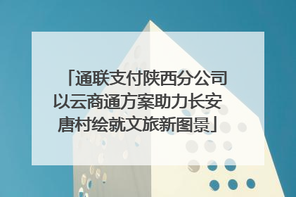 通联支付陕西分公司以云商通方案助力长安唐村绘就文旅新图景