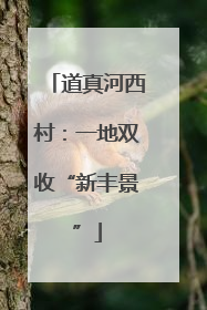 道真河西村：一地双收“新丰景”