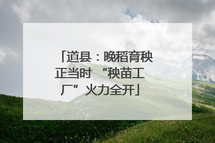 道县：晚稻育秧正当时 “秧苗工厂”火力全开