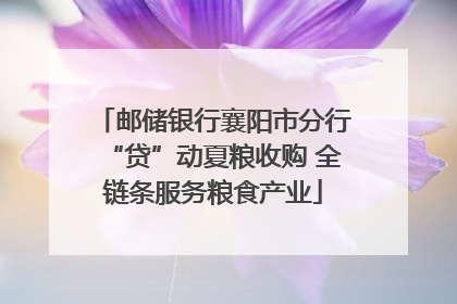 邮储银行襄阳市分行“贷”动夏粮收购 全链条服务粮食产业