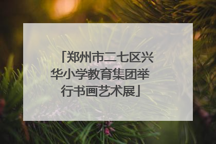 郑州市二七区兴华小学教育集团举行书画艺术展