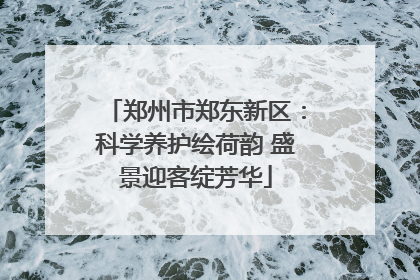 郑州市郑东新区：科学养护绘荷韵 盛景迎客绽芳华