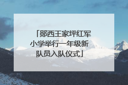 郧西王家坪红军小学举行一年级新队员入队仪式