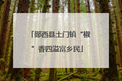郧西县土门镇“椒”香四溢富乡民