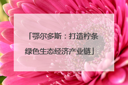 鄂尔多斯：打造柠条绿色生态经济产业链