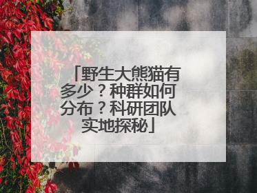 野生大熊猫有多少？种群如何分布？科研团队实地探秘