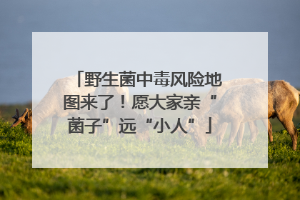 野生菌中毒风险地图来了！愿大家亲“菌子”远“小人”