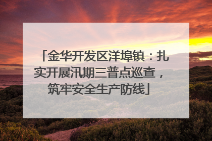 金华开发区洋埠镇：扎实开展汛期三普点巡查，筑牢安全生产防线