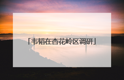 韦韬在杏花岭区调研