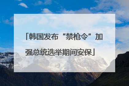 韩国发布“禁枪令”加强总统选举期间安保