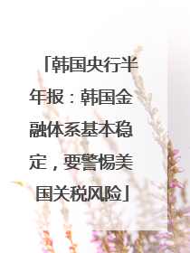 韩国央行半年报：韩国金融体系基本稳定，要警惕美国关税风险