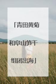 青田黄菊和阜山笋干组团出海
