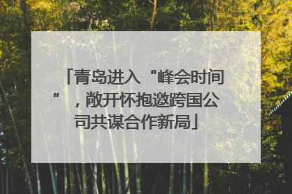 青岛进入“峰会时间”，敞开怀抱邀跨国公司共谋合作新局