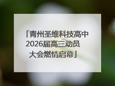 青州圣维科技高中2026届高三动员大会燃情启幕