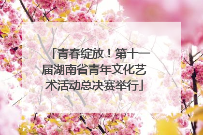 青春绽放！第十一届湖南省青年文化艺术活动总决赛举行
