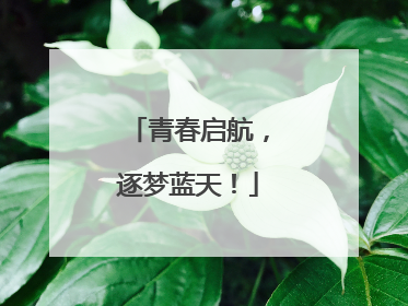青春启航，逐梦蓝天！