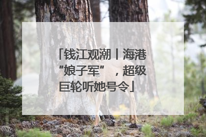 钱江观潮丨海港“娘子军”，超级巨轮听她号令