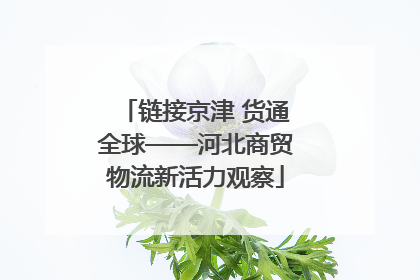 链接京津 货通全球——河北商贸物流新活力观察