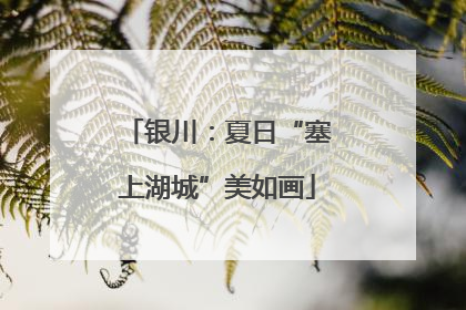 银川：夏日“塞上湖城”美如画