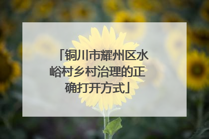 铜川市耀州区水峪村乡村治理的正确打开方式