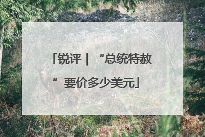 锐评｜“总统特赦”要价多少美元