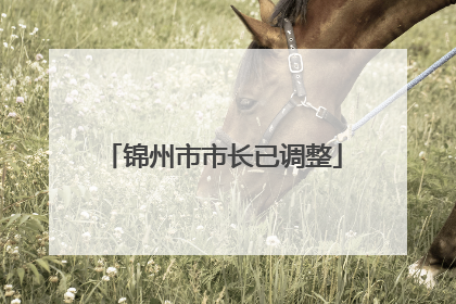 锦州市市长已调整