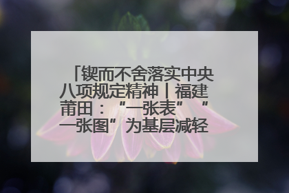 锲而不舍落实中央八项规定精神丨福建莆田：“一张表”“一张图”为基层减轻“数字负担”