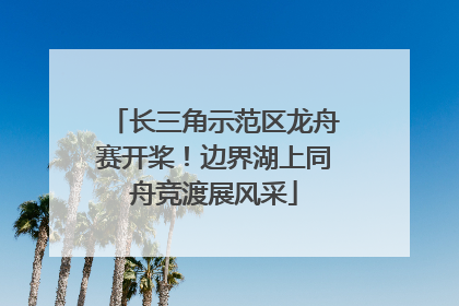 长三角示范区龙舟赛开桨！边界湖上同舟竞渡展风采