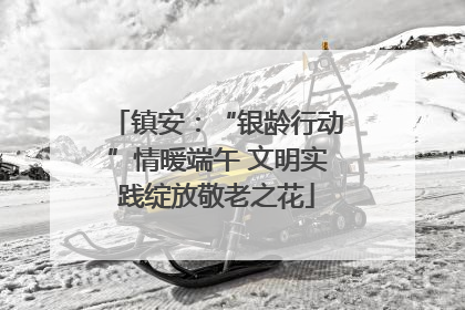 镇安：“银龄行动”情暖端午 文明实践绽放敬老之花
