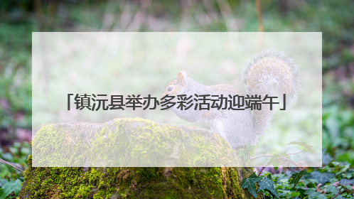 镇沅县举办多彩活动迎端午