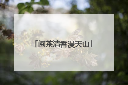 闽茶清香漫天山
