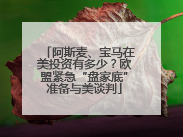 阿斯麦、宝马在美投资有多少？欧盟紧急“盘家底”准备与美谈判